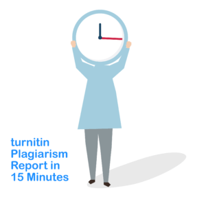 Plagiarism Checker